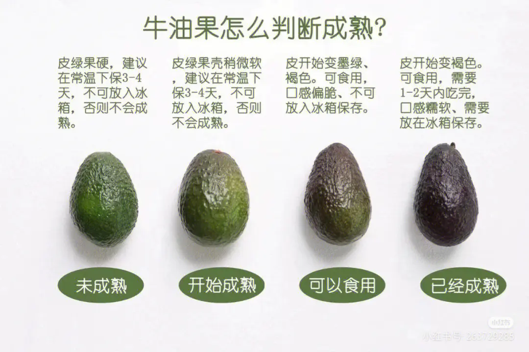 牛油果成熟度指南-觸感與色澤，挑選技巧，揭秘成熟果實的秘密信號！