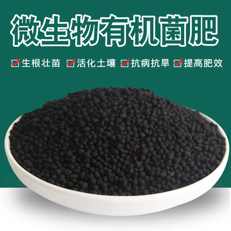 微生物菌肥:激活土壤生命力,讓貧瘠之地重煥生機!