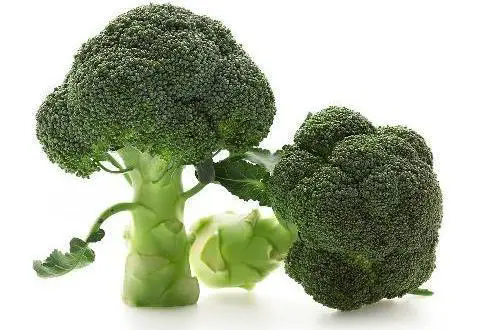 西藍花與西蘭花的“真假”之謎,名字雖異,同根同源。