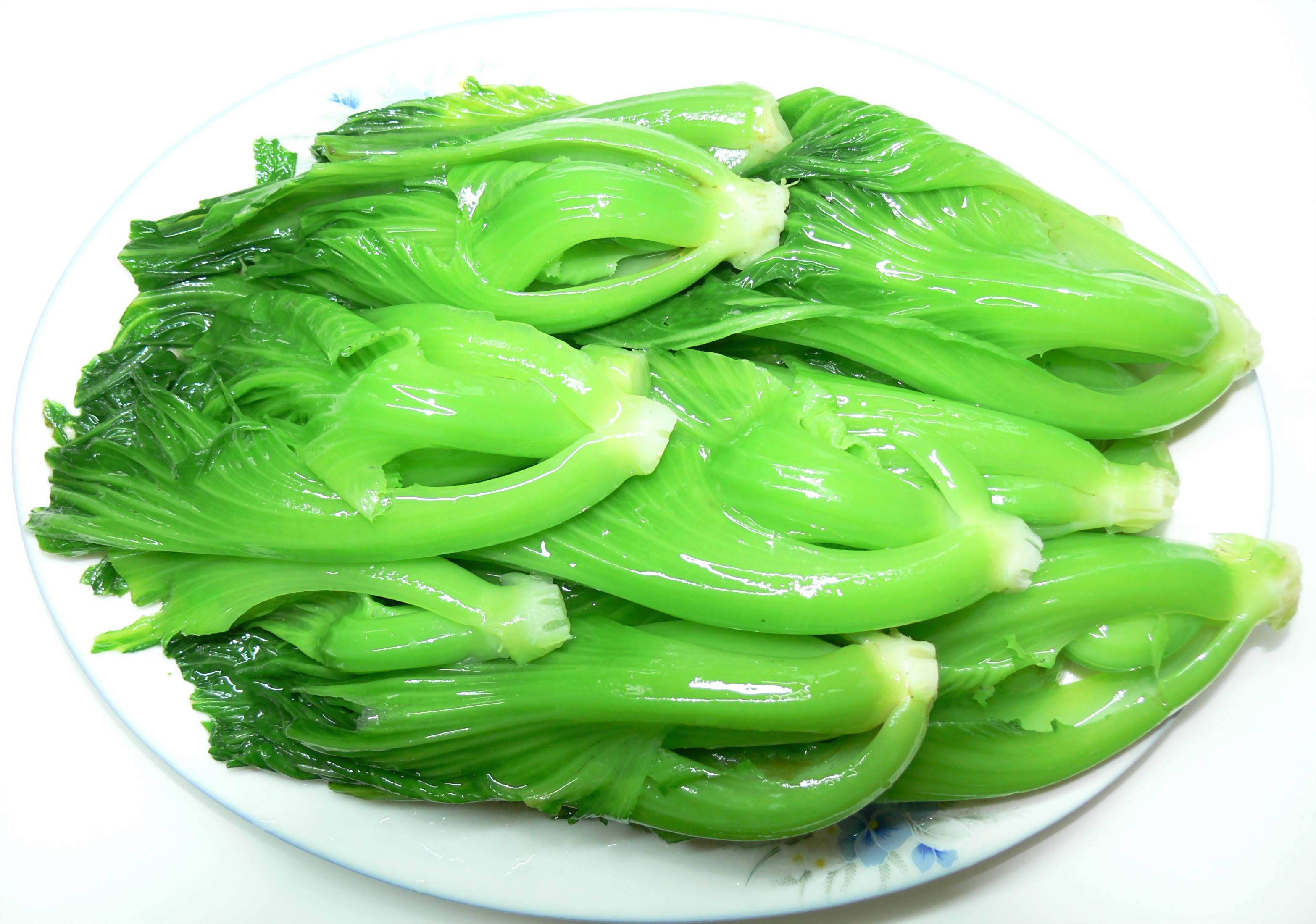 芥菜外觀樣子詳解:鋸齒邊緣的葉片,緊湊的生長(zhǎng)結(jié)構(gòu)!
