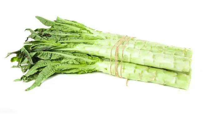 萵筍與萵苣的驚天區(qū)別大圖起底,滿足你的味蕾與好奇心
