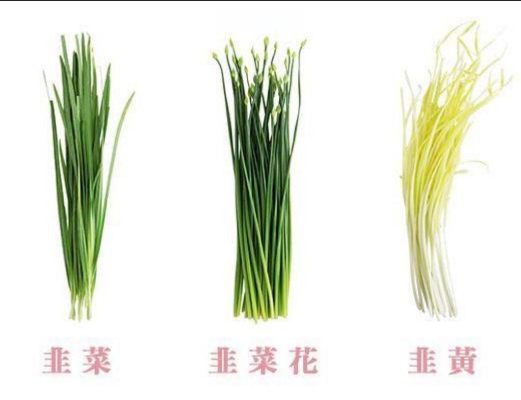 韭菜與韭菜花同根不同魂,一場關(guān)于味道與營養(yǎng)的綠色探索
