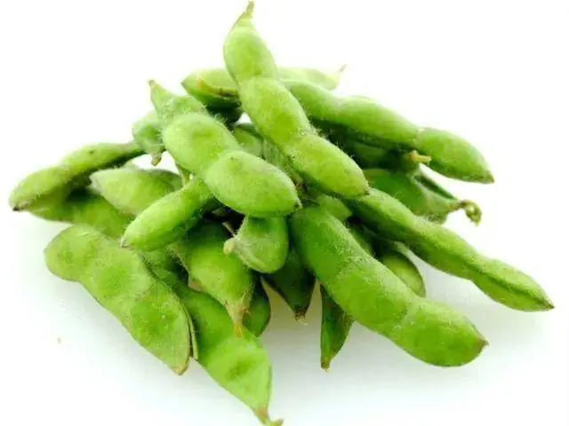 <strong>毛豆嘌呤含量揭秘，營養(yǎng)價值大起底，植物蛋白與健康生活的完</strong>