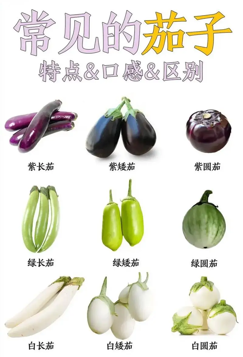 茄子品種大全揭秘,從圓潤到長條,色澤與形狀的多樣魅力!