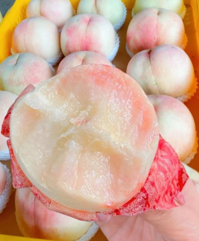 果中柔情:水蜜桃為何變得如此軟嫩?一探成熟過程中的生物學奧秘
