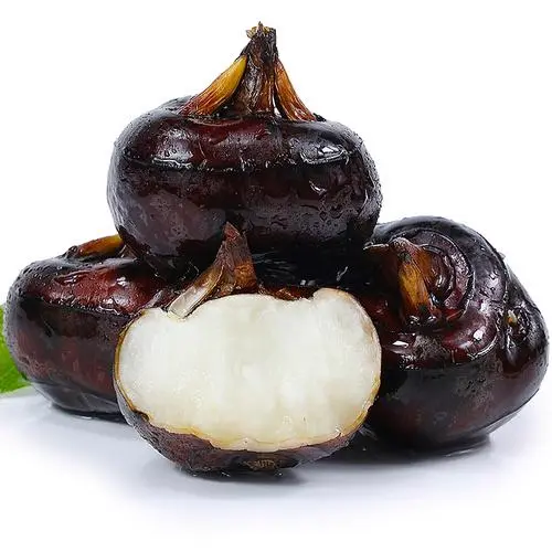 荸薺身份揭秘水果還是蔬菜?揭開其獨特的分類之謎