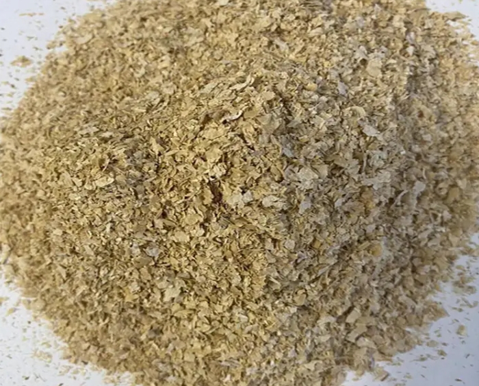 <strong>顛覆傳統！高質量小麥飼料如何重塑肉雞養殖行業</strong>