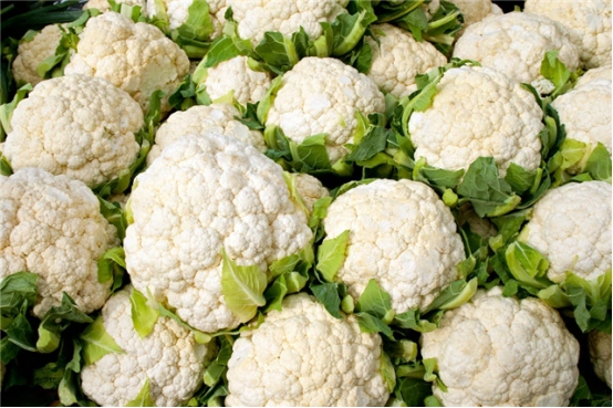 菜花是什么植物長出來的?探究這朵蔬菜之花的植物學真相