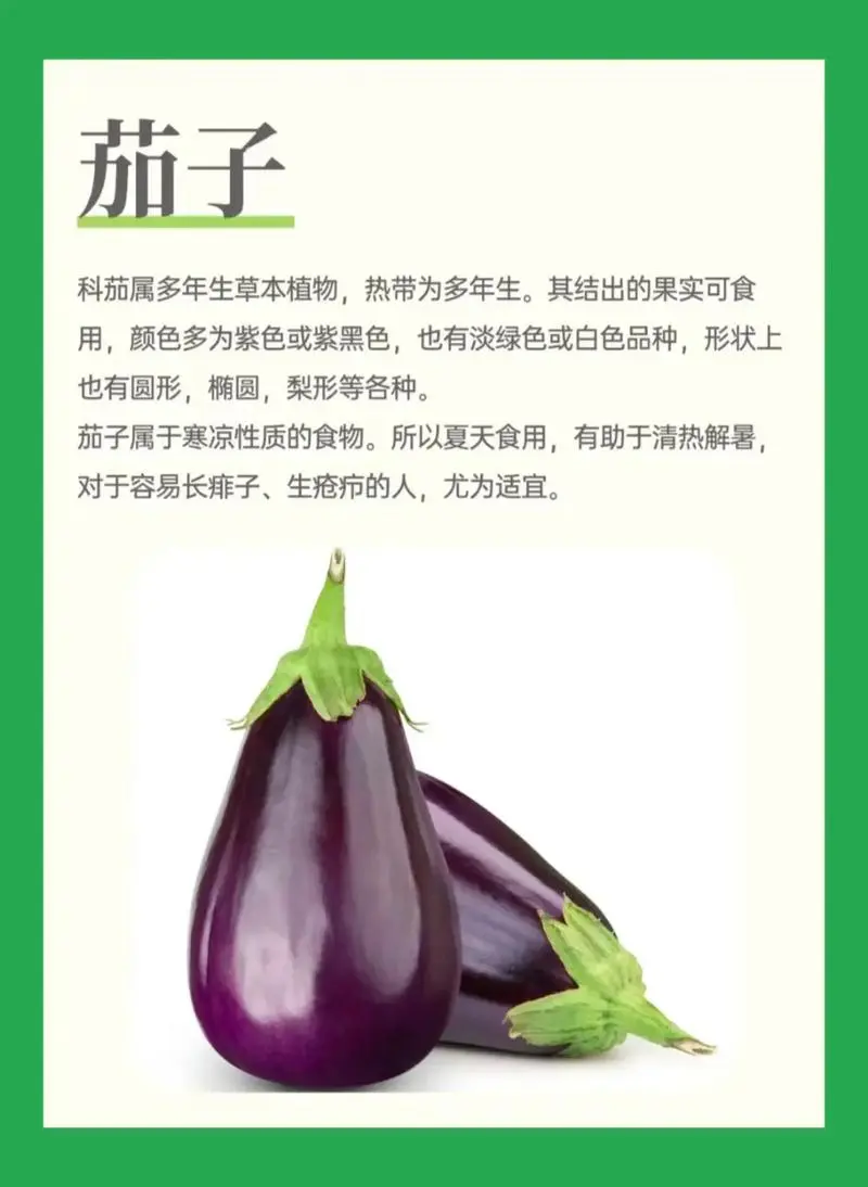 茄子的營養價值與功效密碼:維生素寶庫與抗癌的超級食物