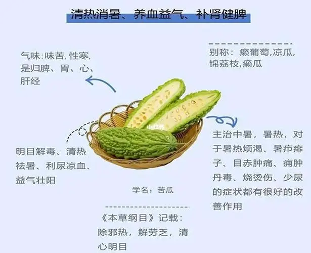苦瓜功效與作用-不只是味道獨特,更蘊含著豐富的藥用價值與養生效果
