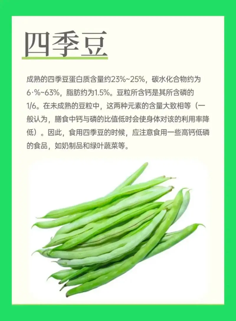 四季豆是一年四季都有的嗎?探索其全年供應的種植與市場機制