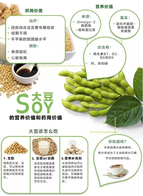大豆功效全解:營養(yǎng)成分、健康益處與食用指南,打造完美健康膳食