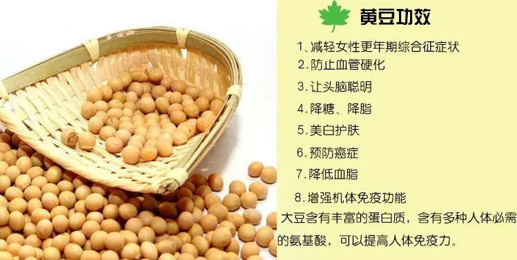 大豆功效全解:營養(yǎng)成分、健康益處與食用指南,打造完美健康膳食