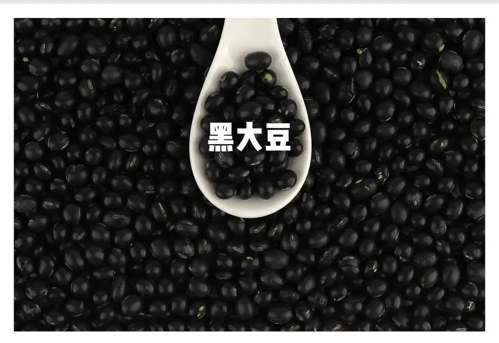 大黑豆好還是小黑豆好?營養與功效全面對比,科學選擇更優食材
