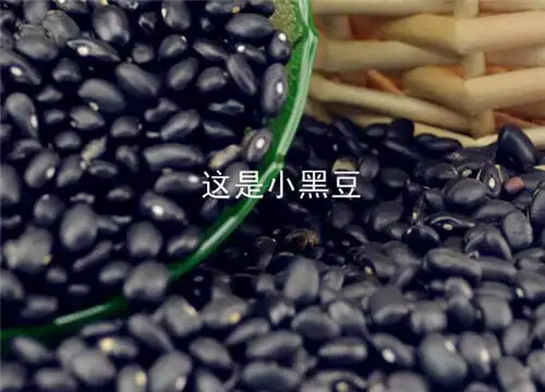 大黑豆好還是小黑豆好?營養與功效全面對比,科學選擇更優食材