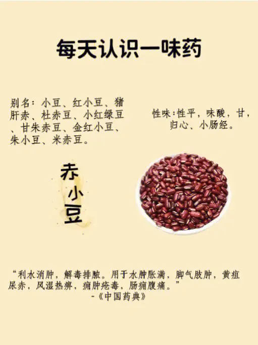 紅豆的健康功效:從蛋白質(zhì)到膳食纖維,全面解析其營(yíng)養(yǎng)價(jià)值作用
