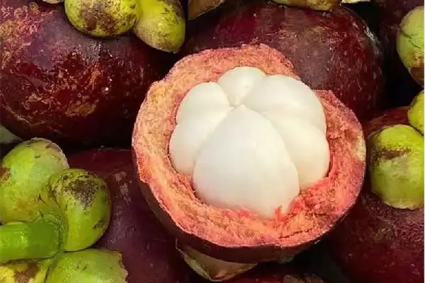 山竹里面黃黃的是什么?可以吃嗎?安全食用指南全揭曉