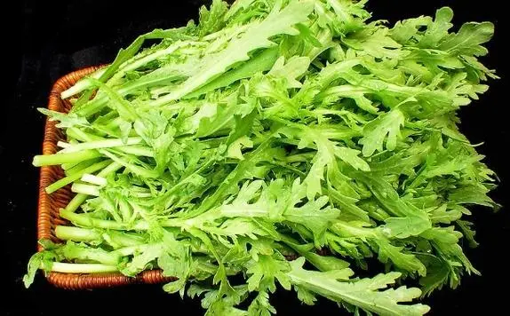 茼蒿能降尿酸嗎?傳統食材的現代健康新發現