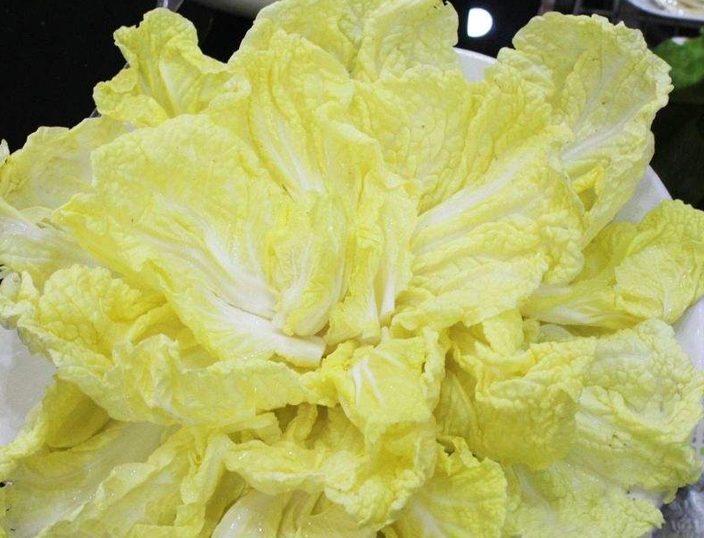 娃娃菜有毒是真的嗎?專家辟謠娃娃菜“有毒”傳言,科學食用是關鍵