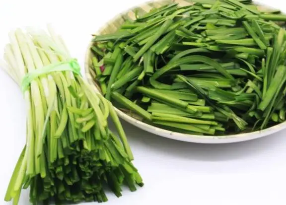 韭菜可以跟豆漿一起吃嗎?韭菜豆漿搭配,營養加倍不沖突