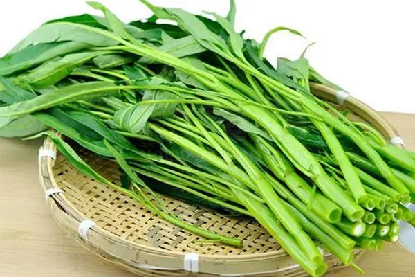 空心菜降血壓嗎?告別高血壓生活,從一盤空心菜開始。
