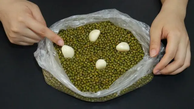 綠豆夏日保存防蟲保鮮術,讓美味無憂輕松享清涼!