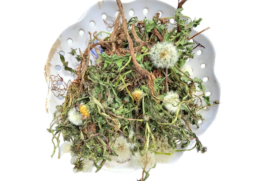 蒲公英從路邊野草到珍貴中藥材:華麗轉身自然界的中藥瑰寶!