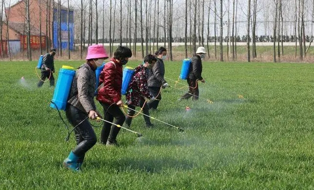 作物豐收的關(guān)鍵一步!揭秘除草打藥最佳時間,讓農(nóng)田管理事半功倍!