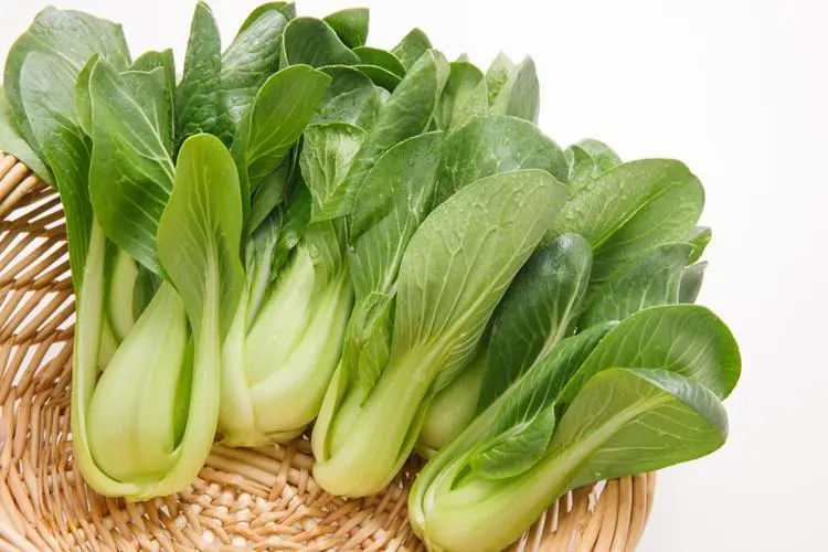 油菜屬性歸類揭秘-是餐桌上的蔬菜還是隱藏的糧食權(quán)貴?