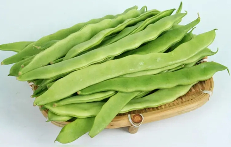 蕓豆與豆角區(qū)別你能分清嗎?營(yíng)養(yǎng)與烹飪風(fēng)味的雙重比較。