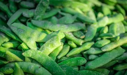 豆角保鮮新革命-告別冬季豆角荒!三招教您留住夏日鮮美!