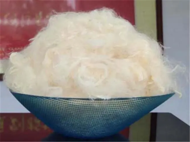 大豆不僅僅是食物,大豆纖維更是未來環保科技的關鍵角色!