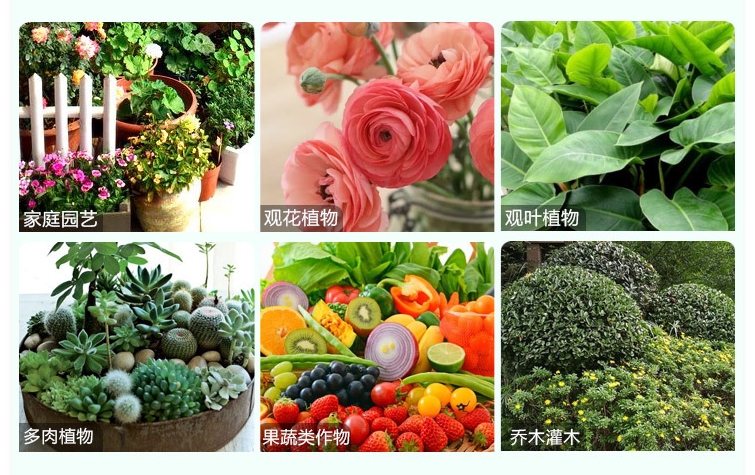 腐植酸肥料:土壤健康守護者,作物生長加速器