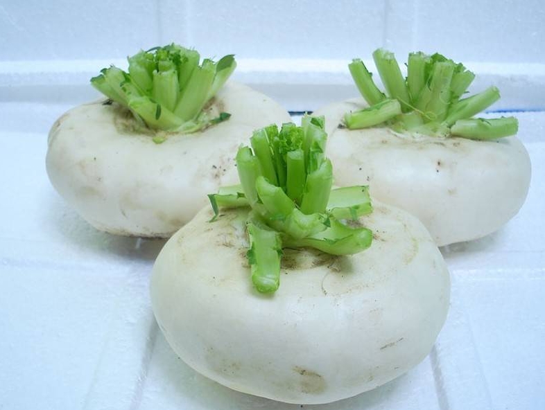 蕪菁菜就是大頭菜嗎?揭穿蔬菜界的“偽裝者”。