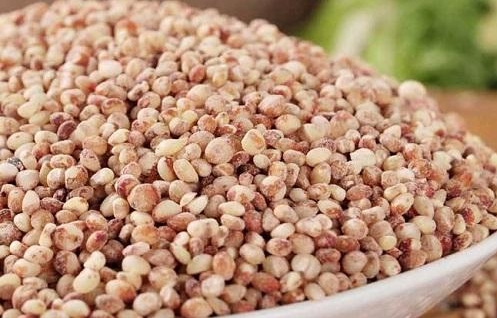 高粱米含糖量多少？不容錯過的營養粗糧。