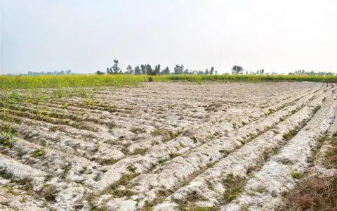 種植土壤惡化危機(jī),減少化肥依賴,守護(hù)土壤生命力