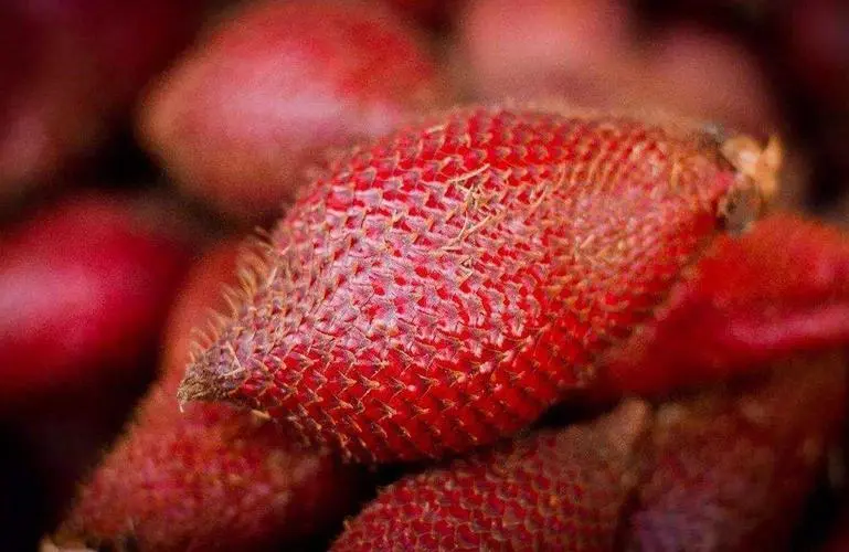 蛇皮果是紅牛的原材料嗎?是無直接聯(lián)系的誤區(qū)流言。
