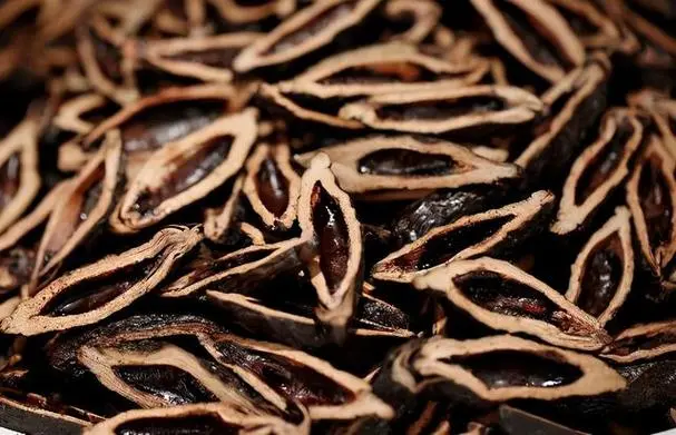 吃檳榔為什么上癮?成分與習慣的雙重陷阱。