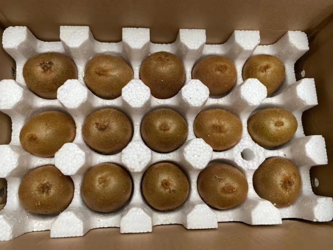 獼猴桃-維C之王如何保鮮?能放冰箱冷藏保存嗎?
