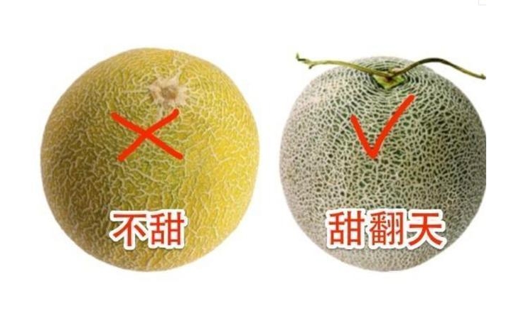 哈密瓜挑選技巧大放送,甜蜜一夏就靠它。