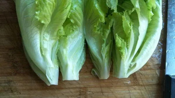 生菜根部變身新生命,家庭種植新技能get√。