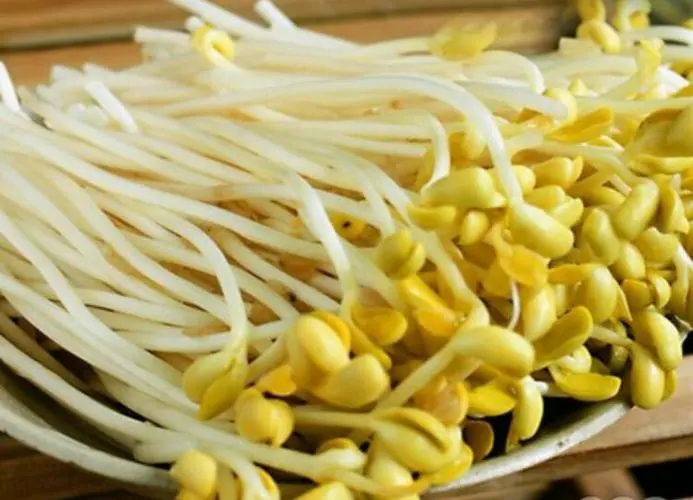 豆芽美味無負擔,豆芽去皮妙招讓你愛不釋口。