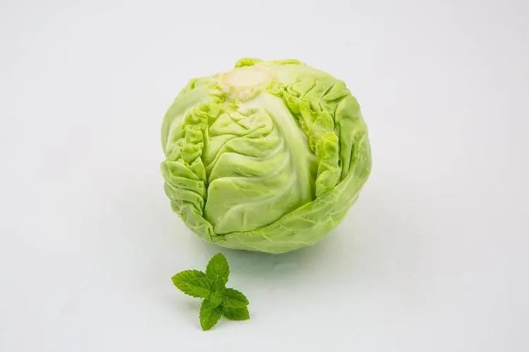 卷心菜的根莖能吃嗎?能吃但不必強求的糟粕