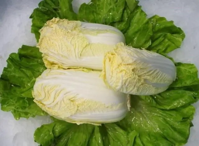 娃娃菜命名的背后故事,為何不是“寶寶菜”?
