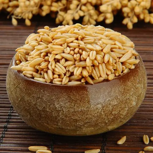 什么小麥品種好吃又營養?這樣選擇小麥讓你愛不釋口。