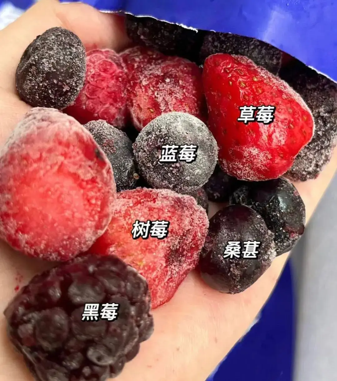 山莓VS黑莓區別,誰是你的營養健康首選?