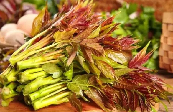 野外尋寶：十種好吃還超有營(yíng)養(yǎng)的野菜寶藏