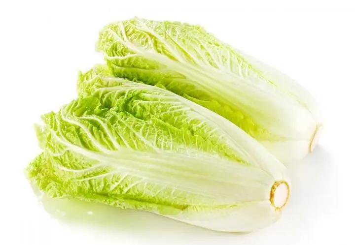 白菜心長什么樣?從內到外領略白菜心的獨特魅力
