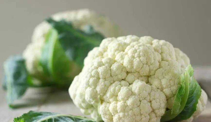 菜花菜有哪些營(yíng)養(yǎng)價(jià)值?維生素C、膳食纖維全都有