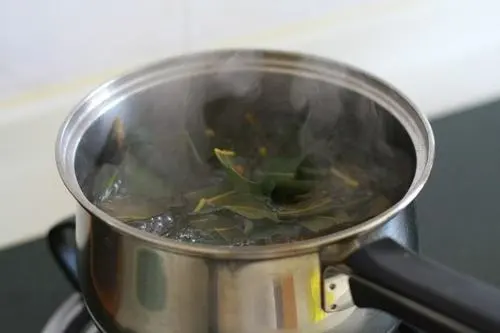 自然養生療法:枇杷葉怎么煮水止咳效果好